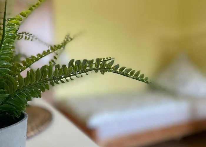 Moderne Im Gruenen, Mit Park- Und Meer-naehe Séjour chez l'habitant *